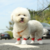 Disposable Pet Shoe Pet Supplies For Dogs Waterproof Small Middle Large Size Paw Protector Boots Socks Dog Shoes For Summer Winter